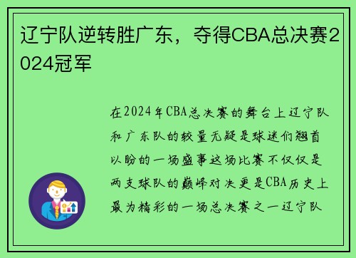 辽宁队逆转胜广东，夺得CBA总决赛2024冠军